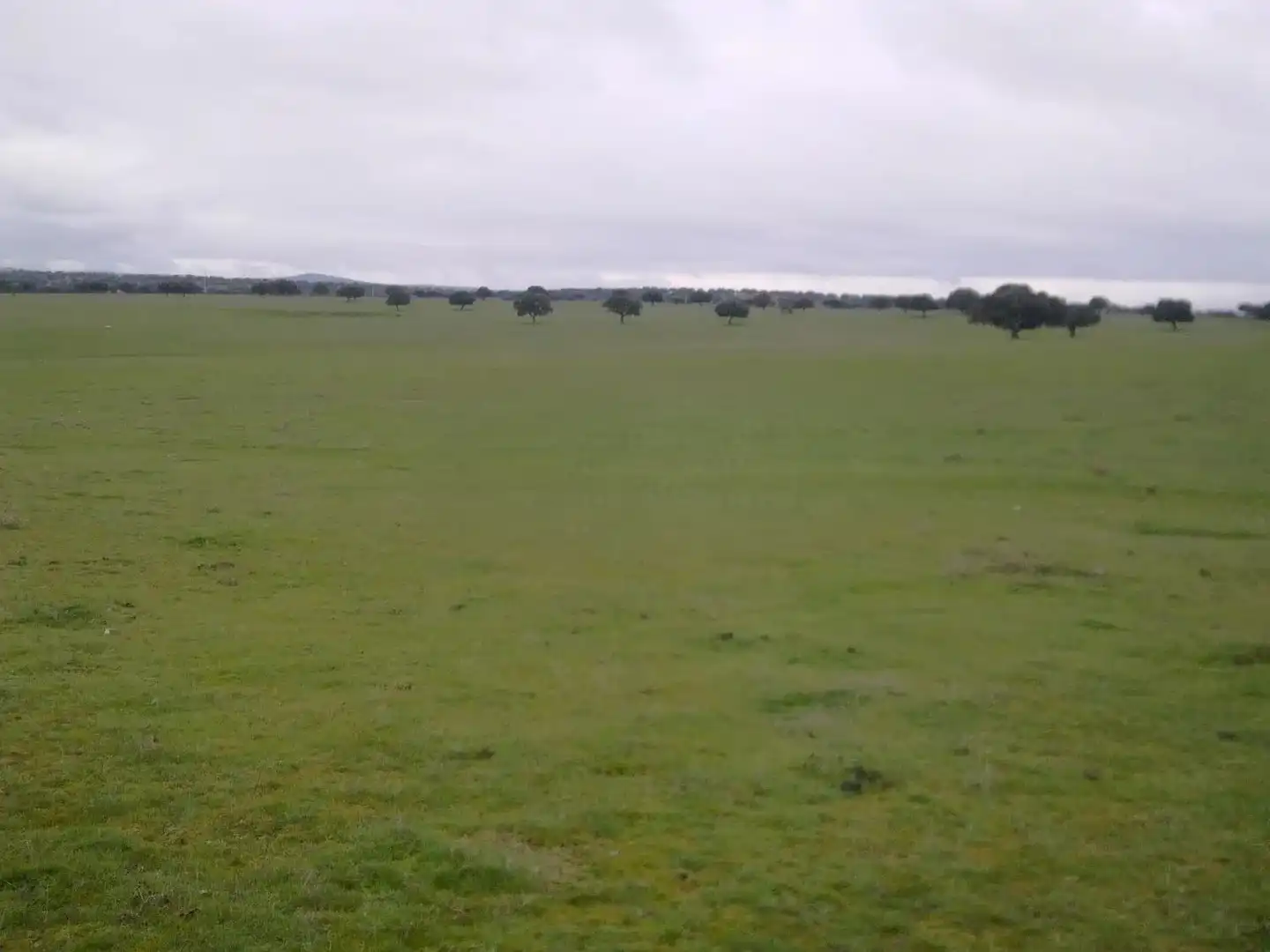 Land for sale in Vistahermosa