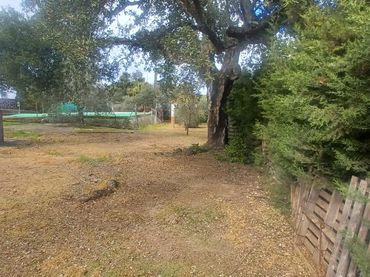 Detached house with pool for sale in Castilblanco de los Arroyos