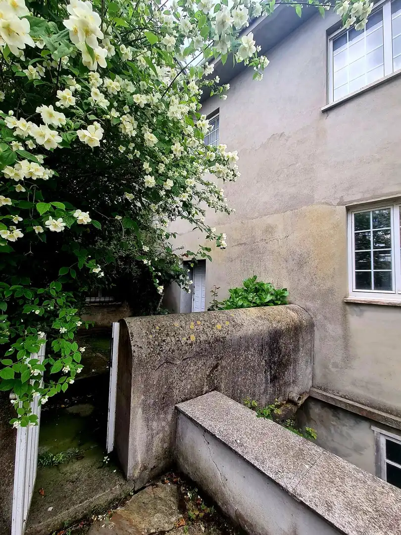 Casa amb jardí en venda a GENERAL SAN MIGUEL, imagen 61