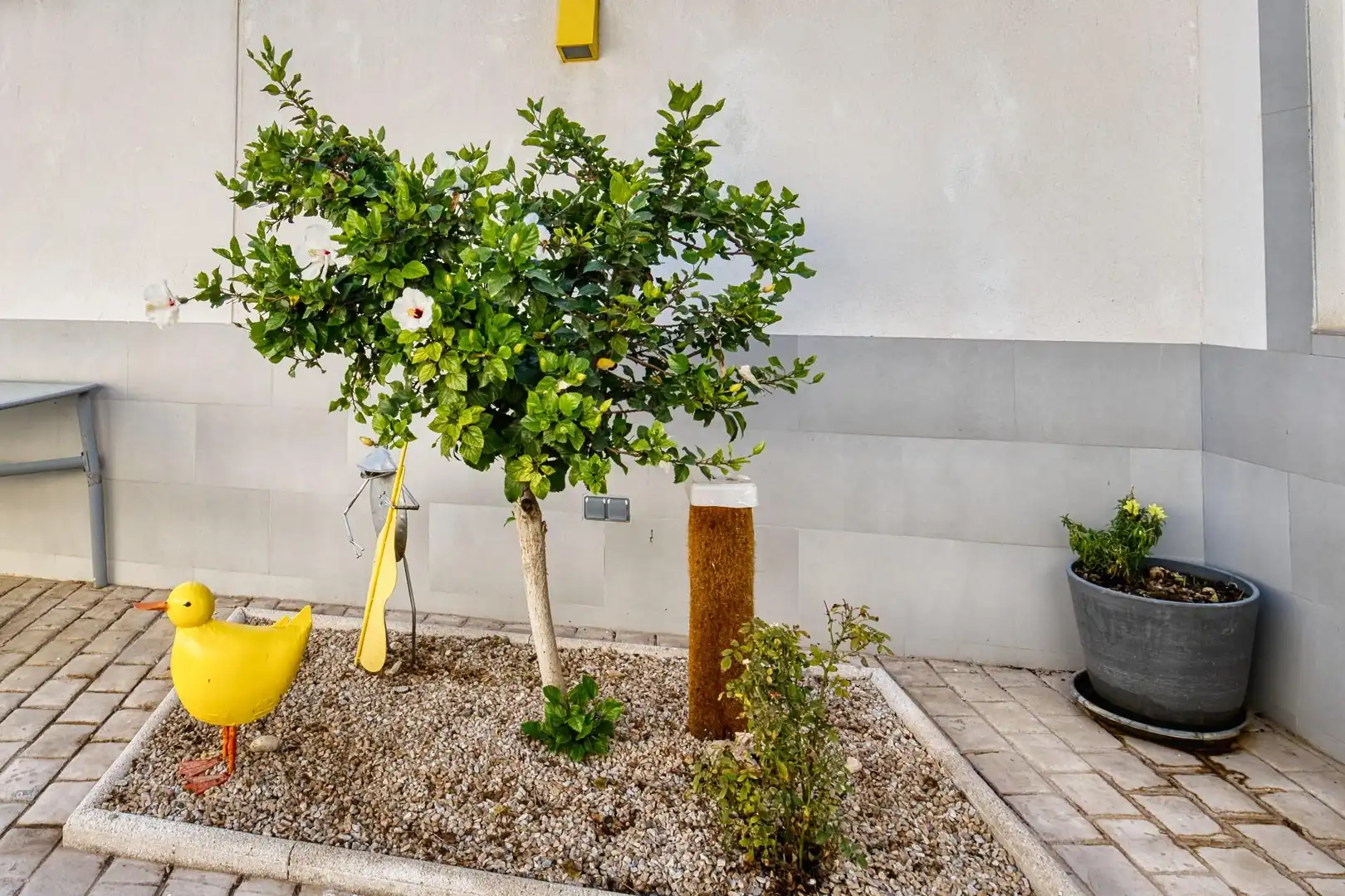 Jardín de Casa adosada en venta en Torre-Pacheco con Aire acondicionado, Calefacción y Jardín privado