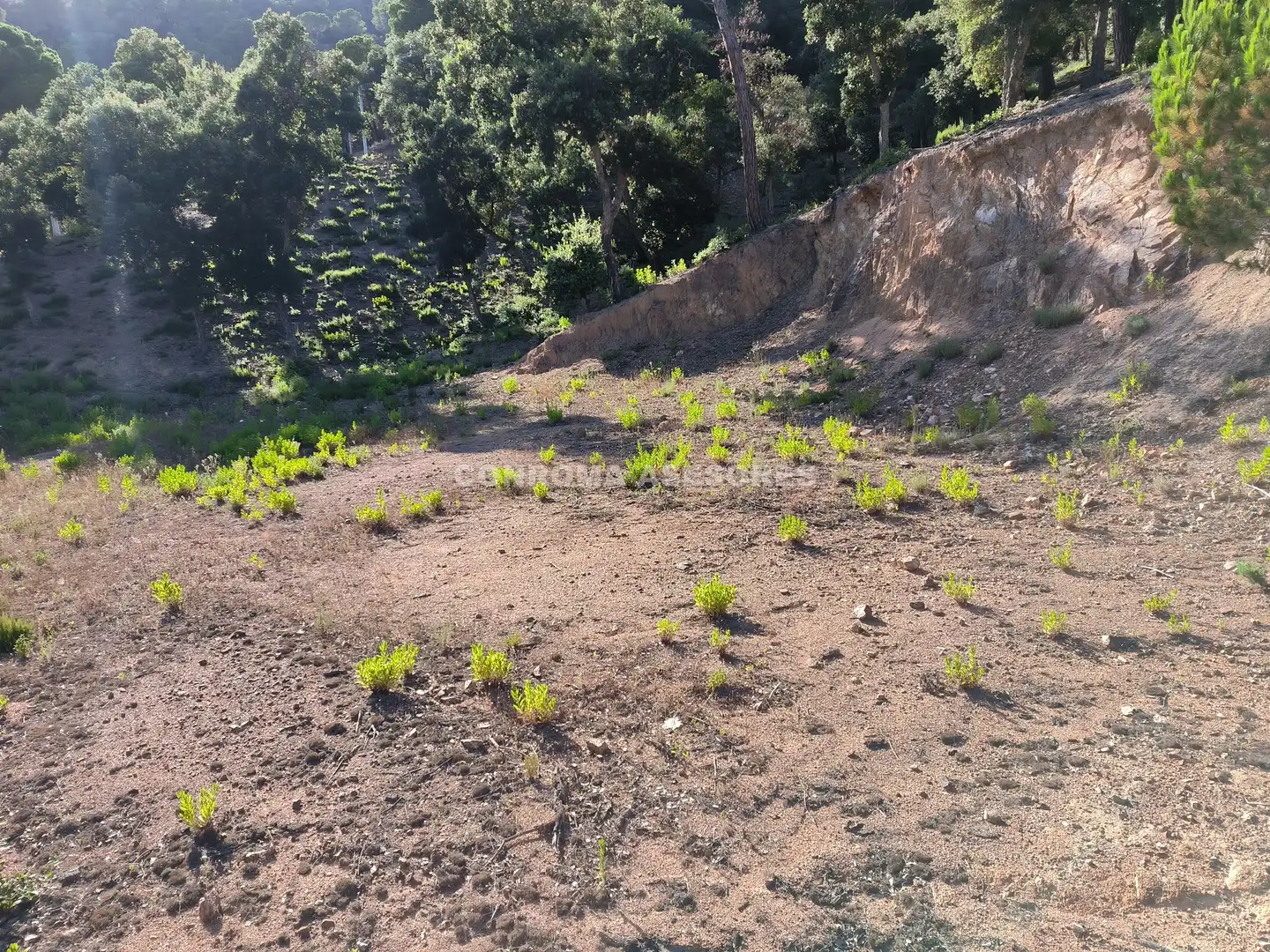 Terreno residencial en venta en Niàgara Parc - Àgora Parc, imagen 7
