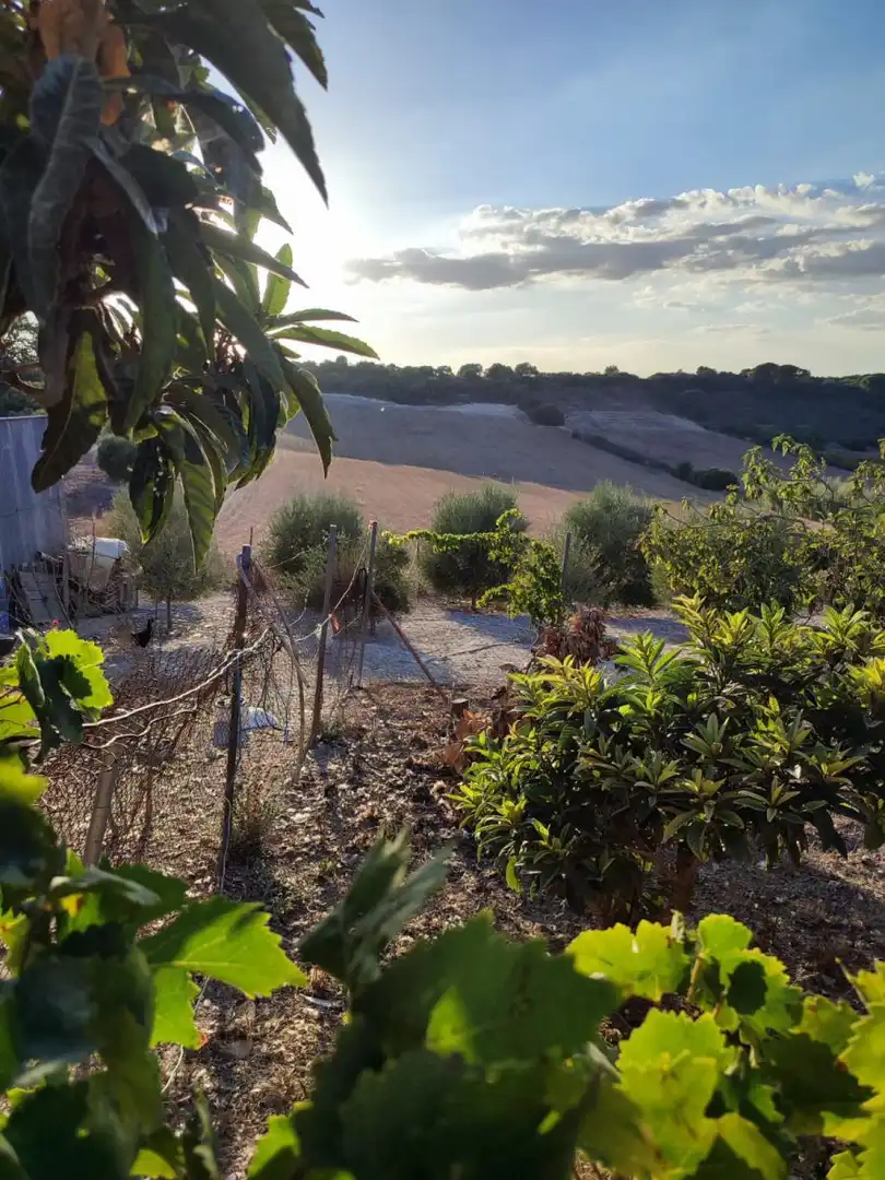 Casa rústica en venda a Arcos de la Frontera, imagen 15