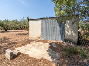 Terreno rústico en venta en Mas de Barberans