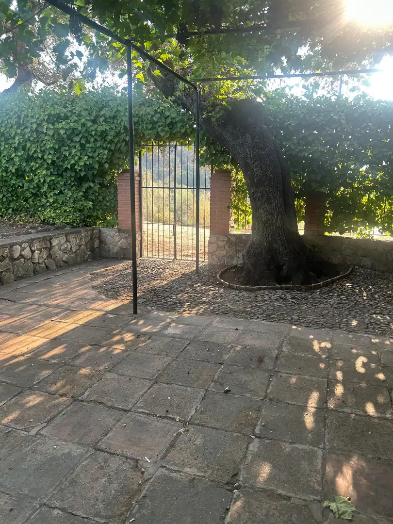 Garden of Country homes for sale in Ronda  with Air Conditioner, Private garden and Furnished