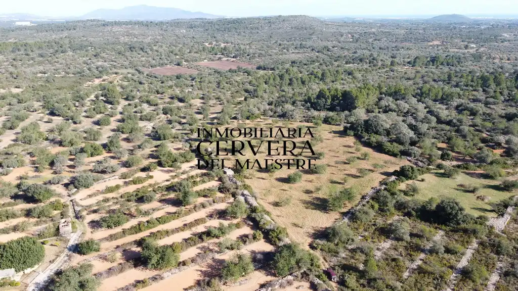 Terreno rustico in vendita a Cervera del Maestre, imagen 7