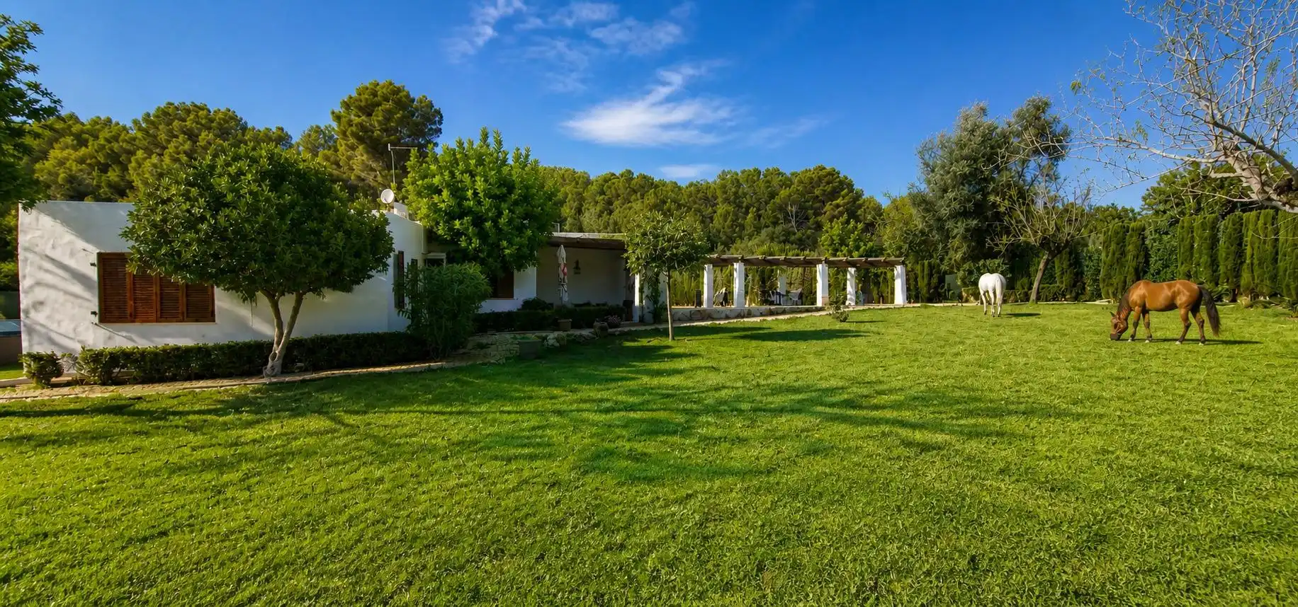 Jardí de Finca rústica en venda en Calvià amb Aire condicionat, Jardí privat i Terrassa