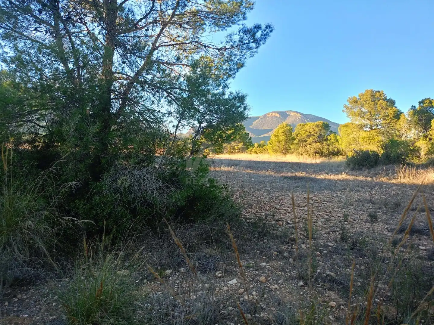 Terreno en venta en Lorca