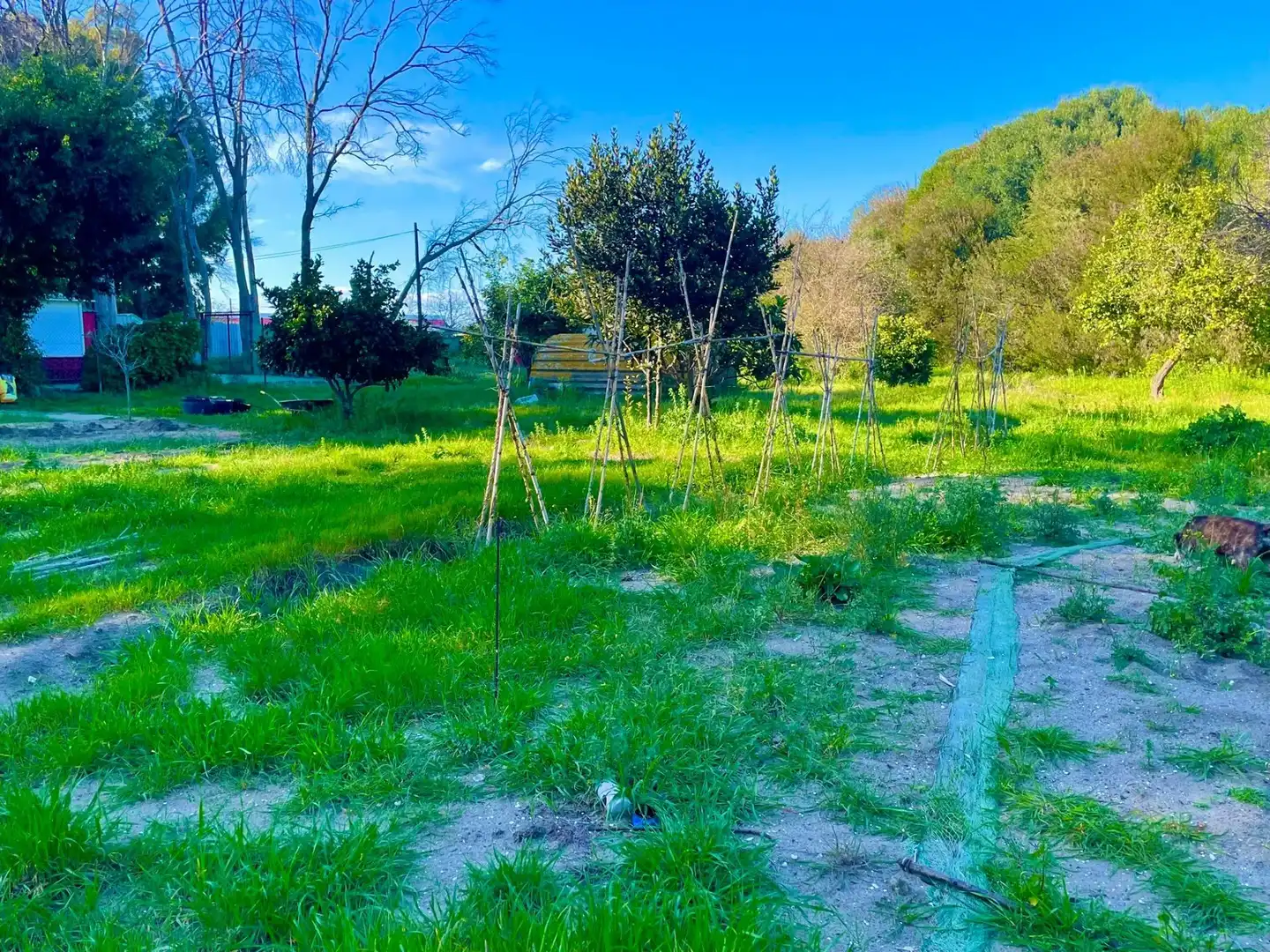 Houses for sale in La Línea de la Concepción