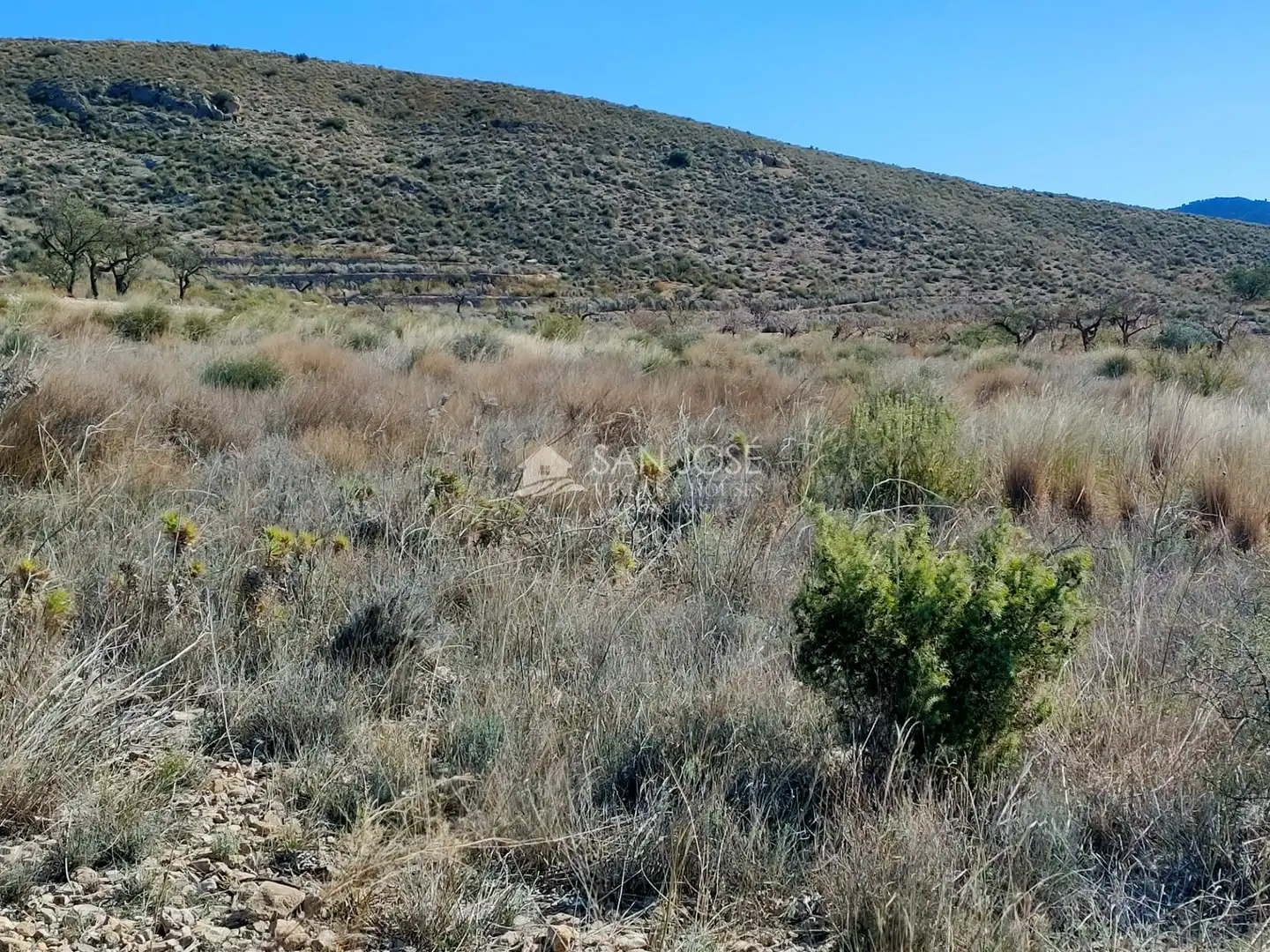 Terreno rustico in vendita a Hondón de los Frailes, imagen 4