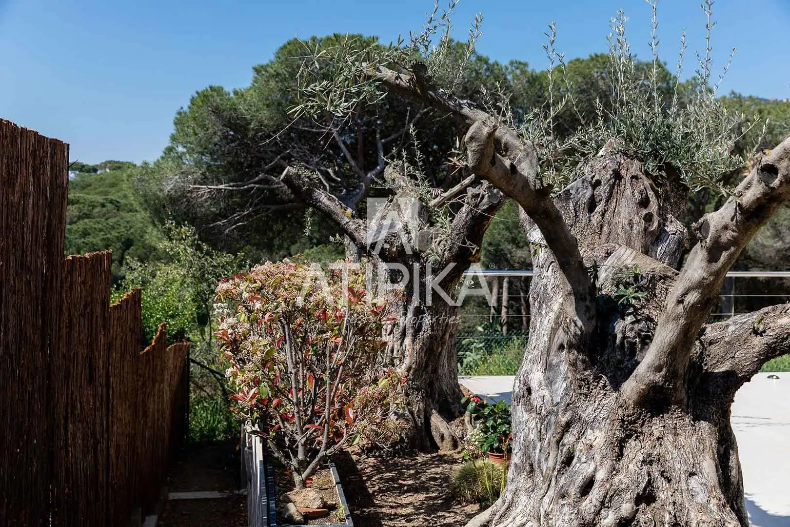 Casa o xalet de lloguer a Vicens Bou, Fenals