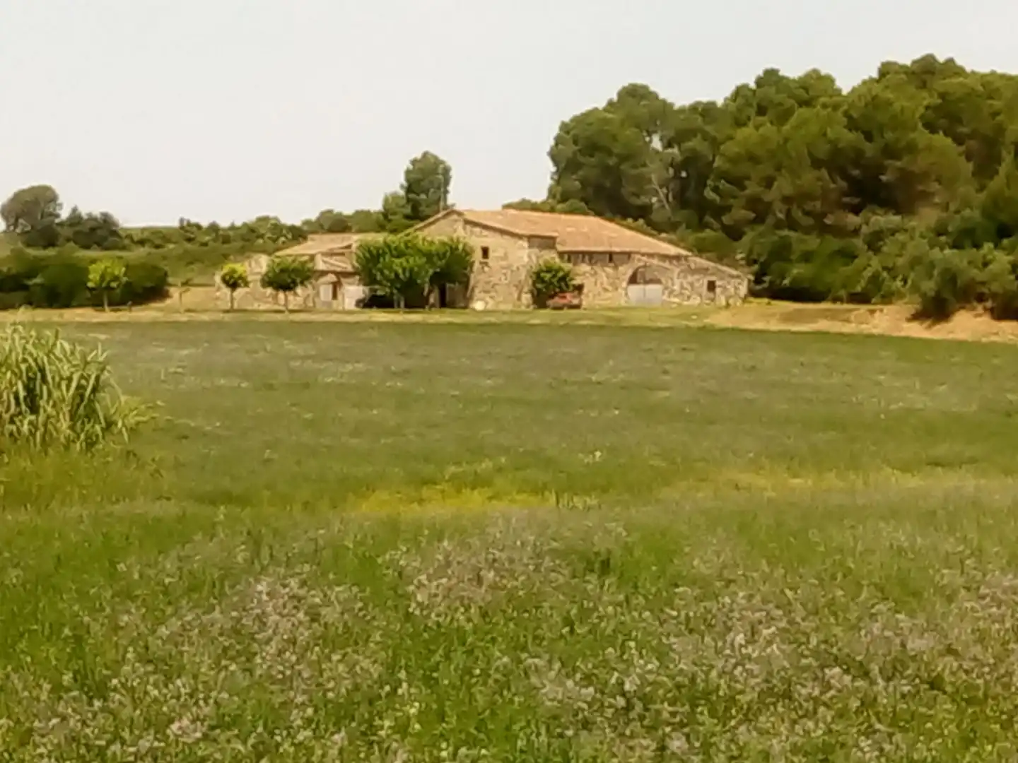 Finca rústica en venta en Vilopriu