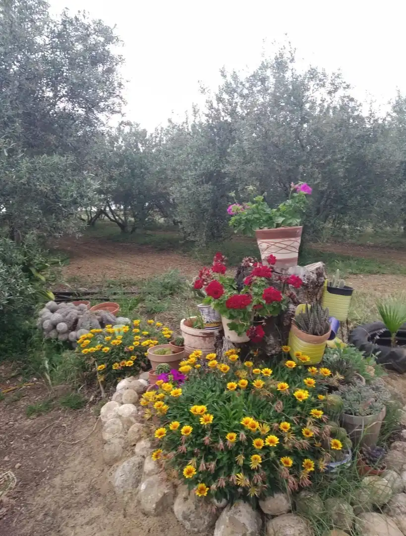 Jardí de Finca rústica en venda en Cantillana amb Terrassa