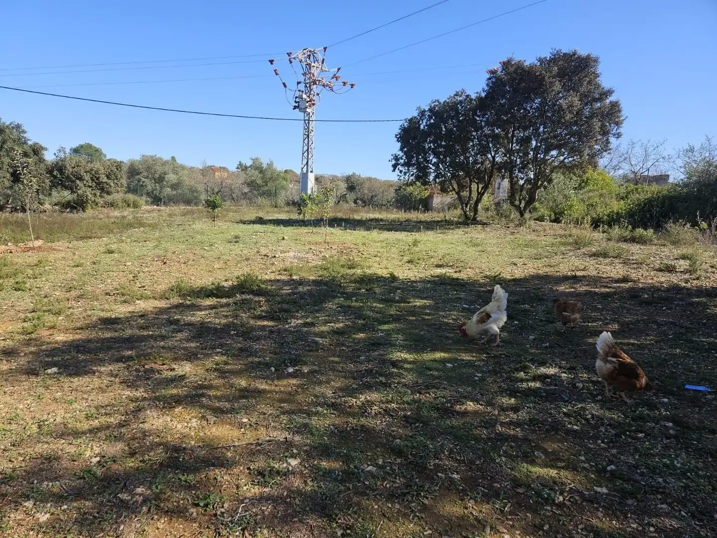 Terreny rústic en venda a Polígono ULLASTRE, imagen 22