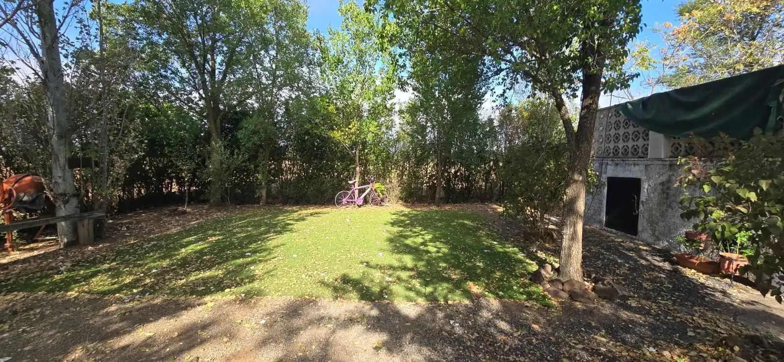 Country homes for sale in Villamayor de Calatrava