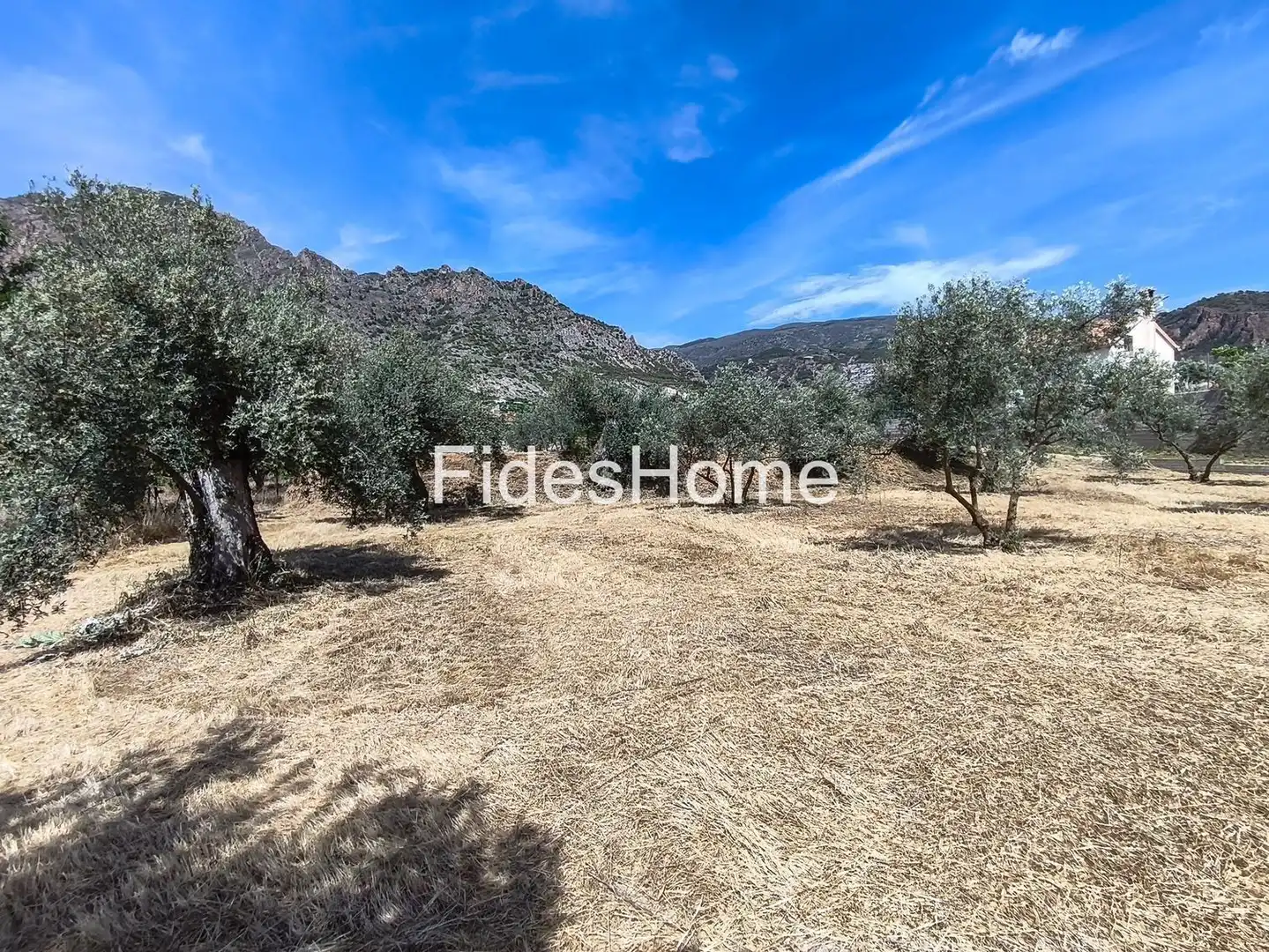 Rural land for sale in XFJ3+526 Nigüelas 0, imagen 20