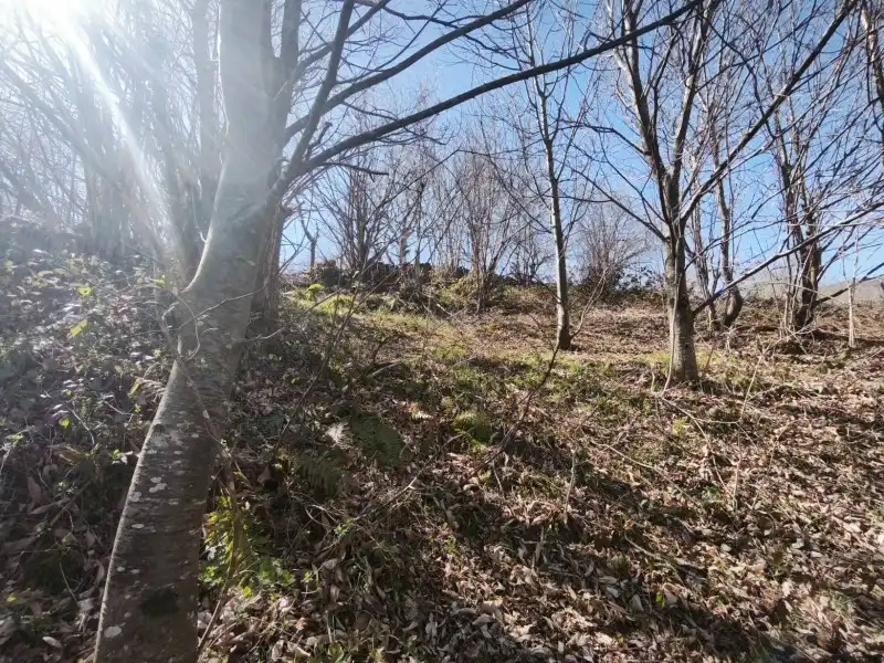 Terreni e lotti in vendita a Rionansa, imagen 22