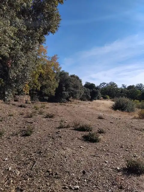 Country homes for sale in Pórtugos