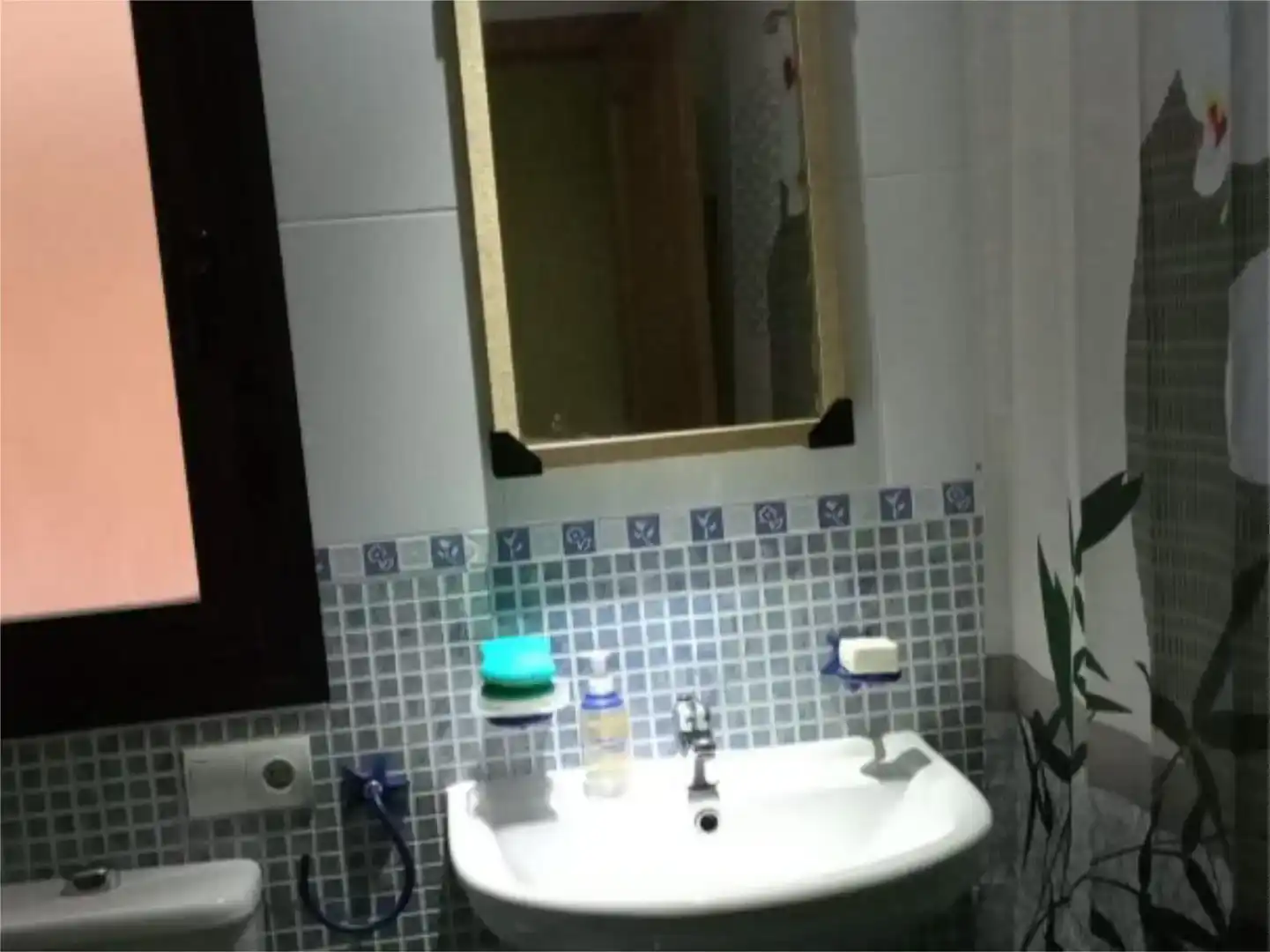 Bathroom of Flat for share in Seseña  with Private garden, Parquet flooring and Storage room
