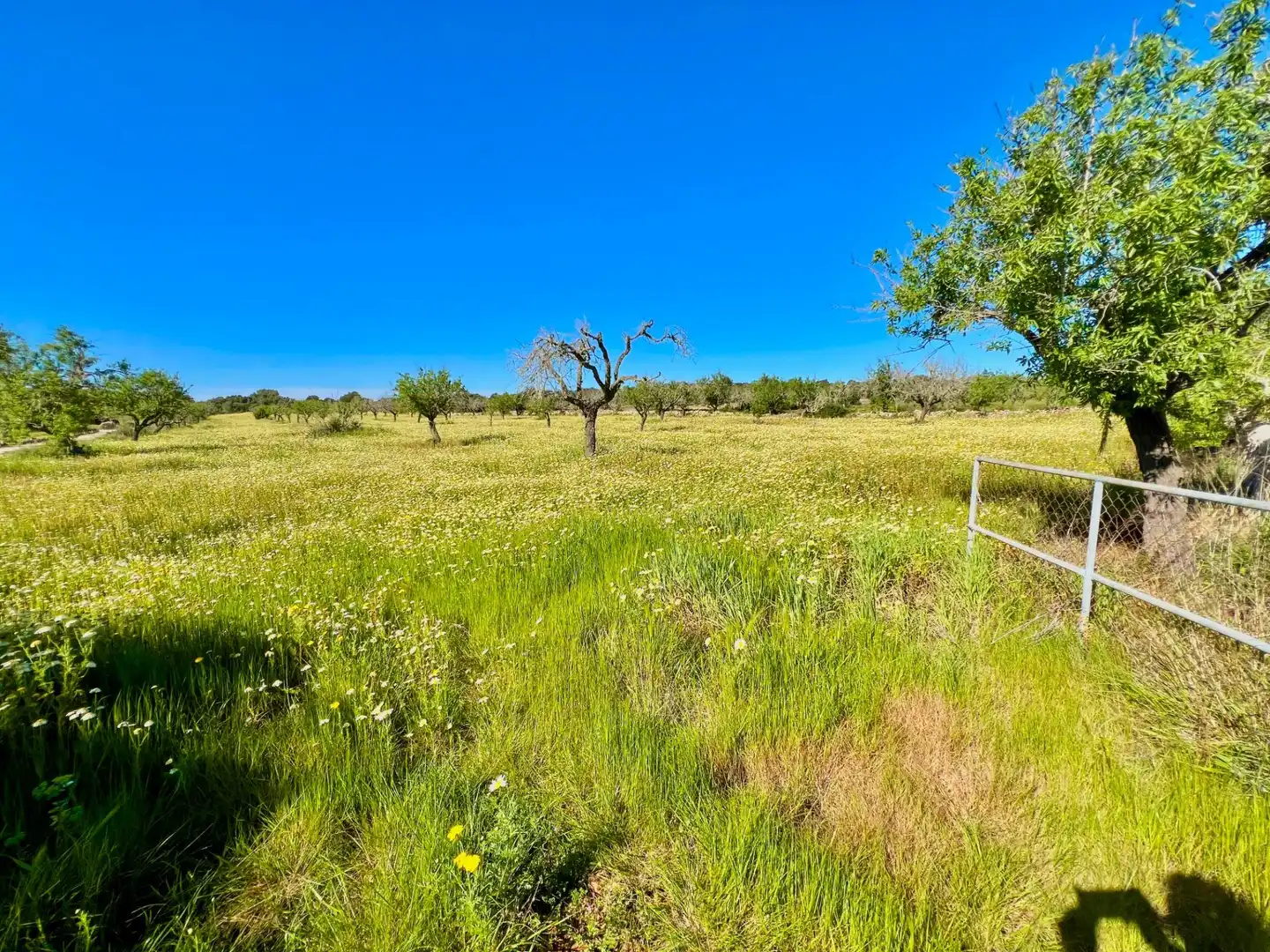 Residencial en venta en Santanyí