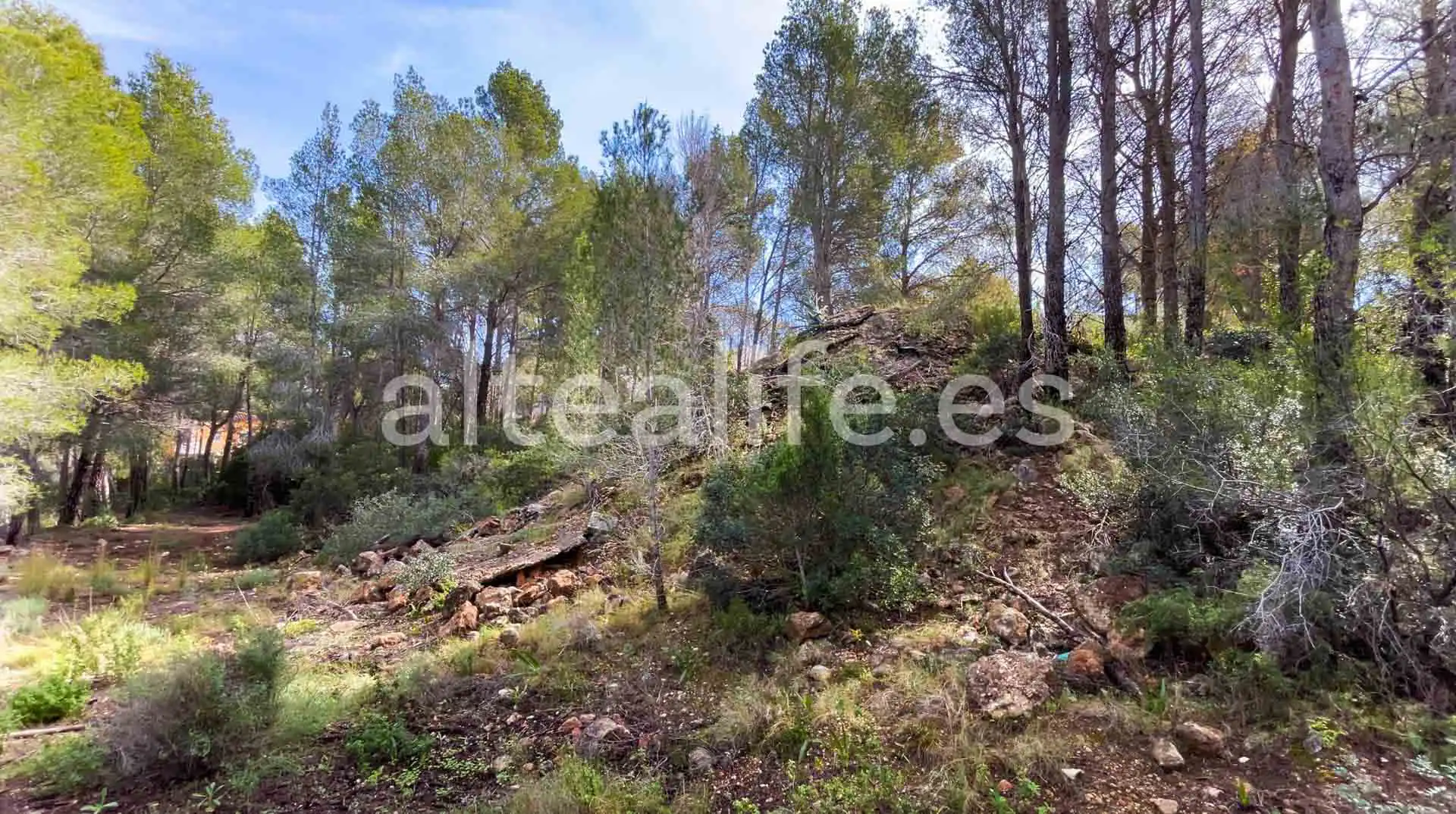 Terreny residencial en venda a Calle Erica, imagen 5