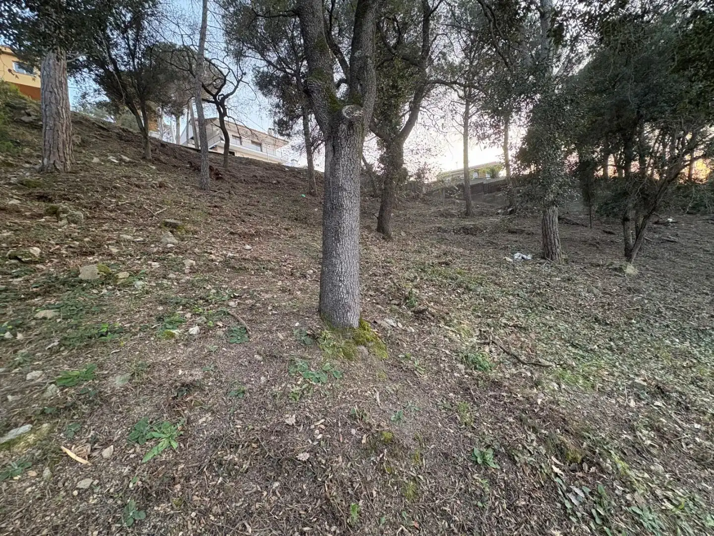 Terreno residencial en venta en Carrer de la Mola 2, imagen 7