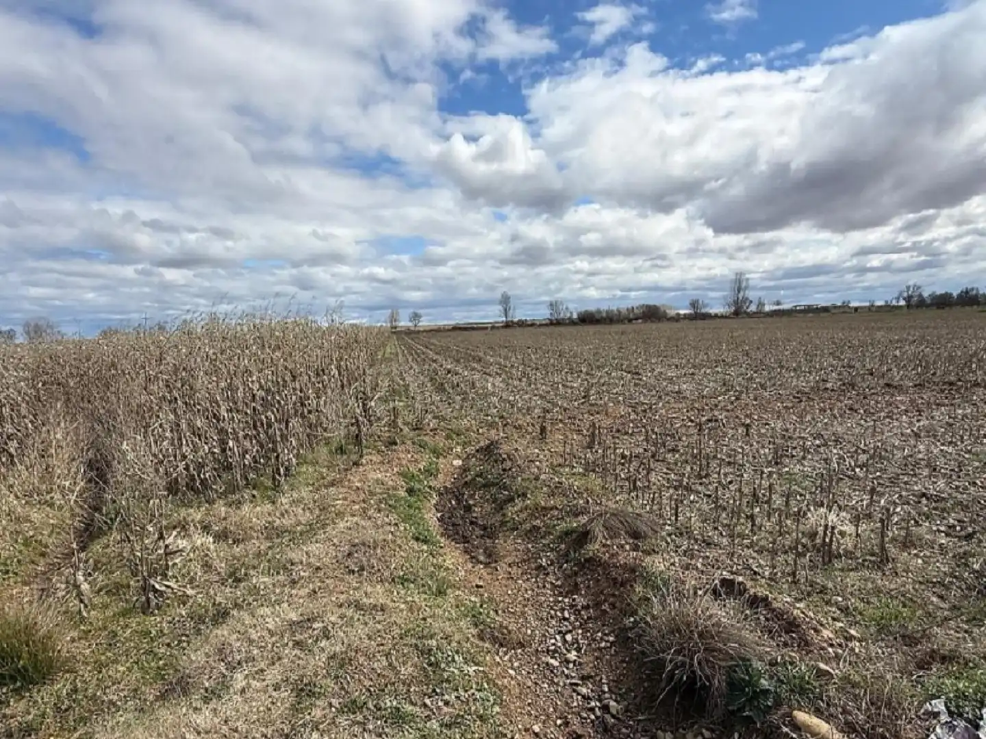 Land for sale in Villazala
