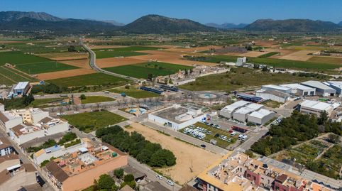 Foto 4 de Terreno industrial en venta en Sa Pobla, Illes Balears