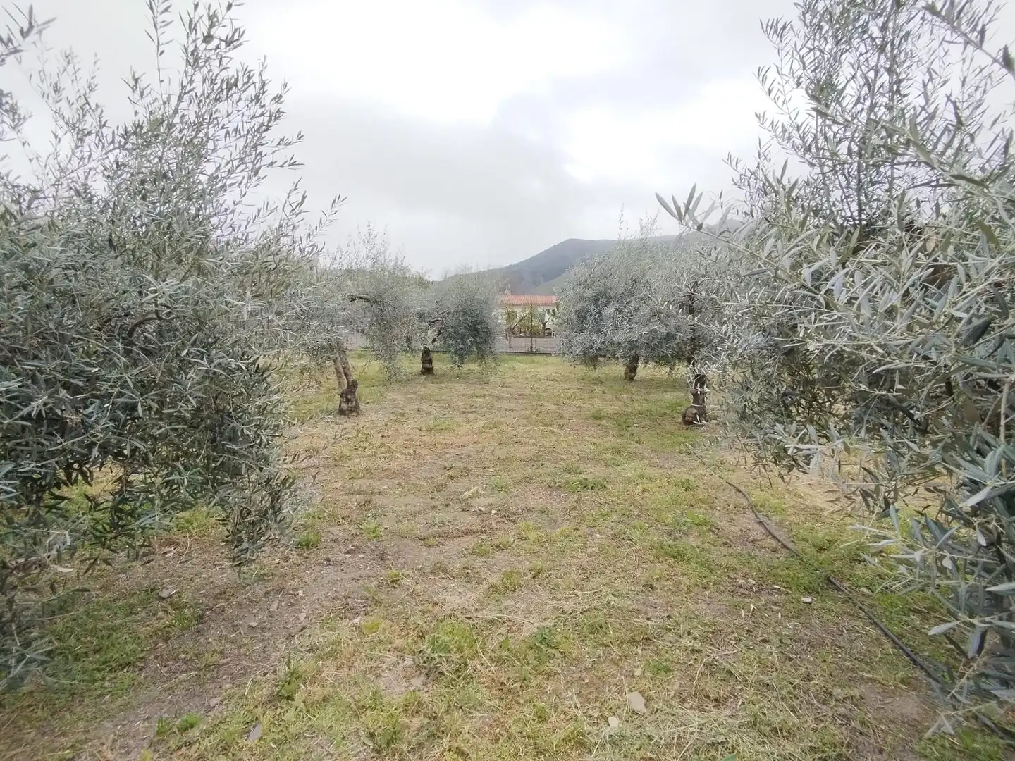 Terreni e lotti in vendita a Carretera Cenes de la Vega, imagen 26
