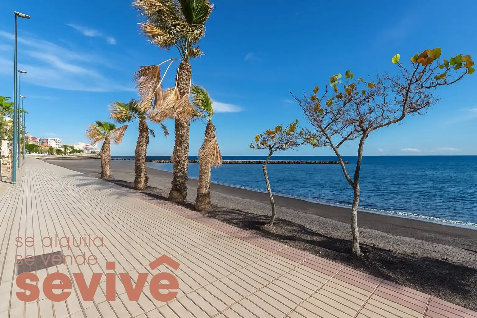 Exterior view of Flat for sale in Güímar  with Terrace, Swimming Pool and Furnished