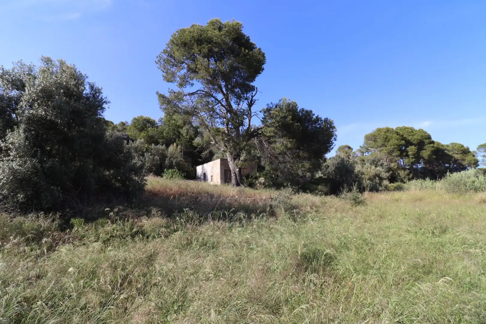 Terreno rústico en venta en Alcanar, imagen 4