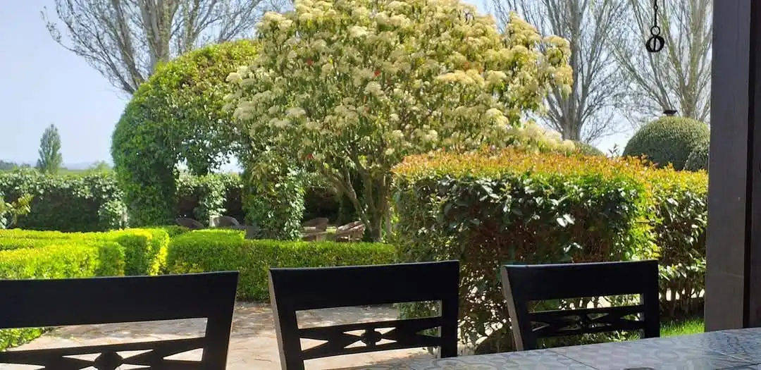 Terrace of Land for sale in Tudela