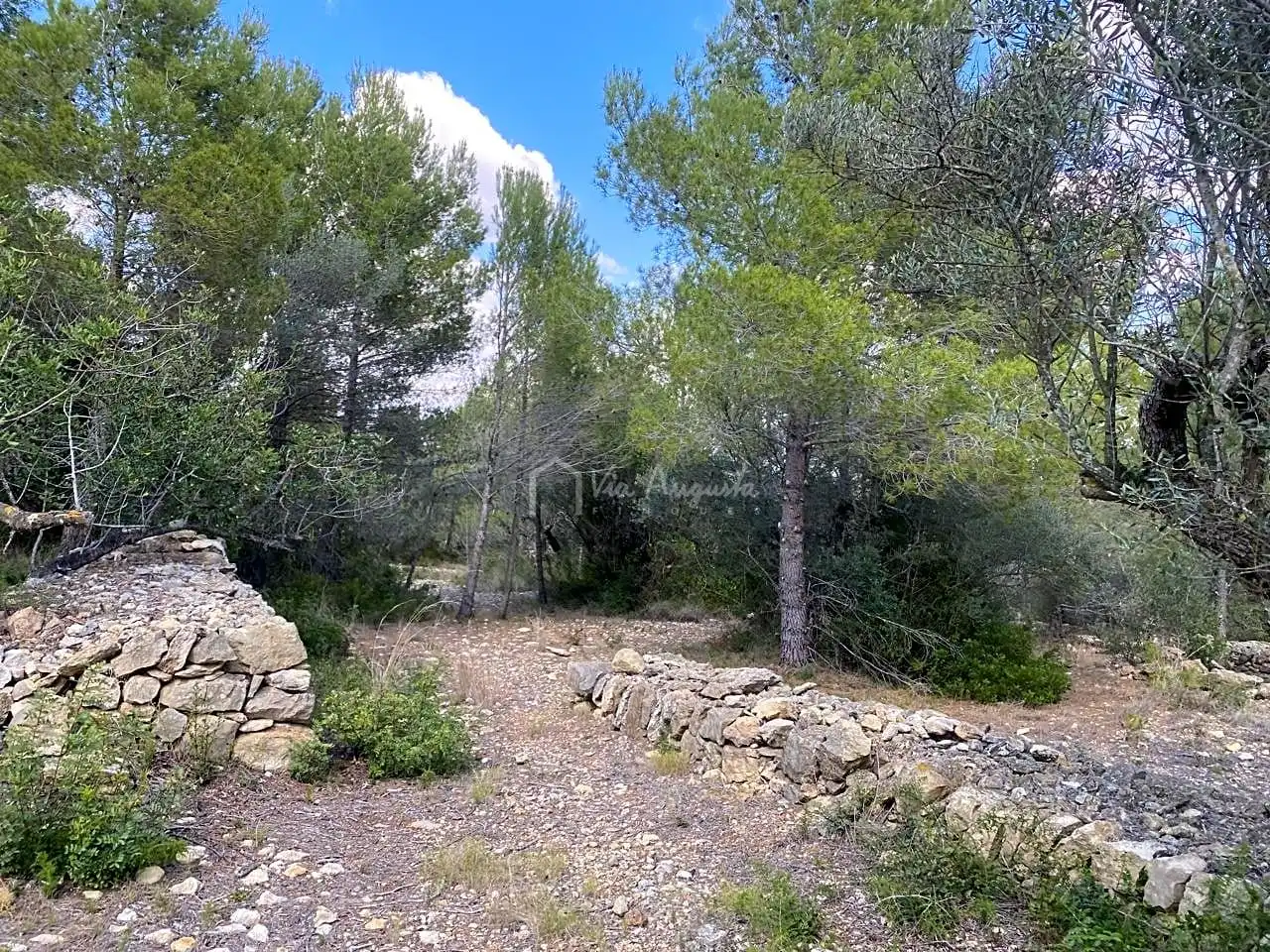 Terreno rustico in vendita a Ligallo de les Bordes, imagen 16