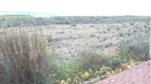 Foto 5 de Terreny en venda a Sierra del Moncayo Nº 27 00017, Consolación, Calatayud