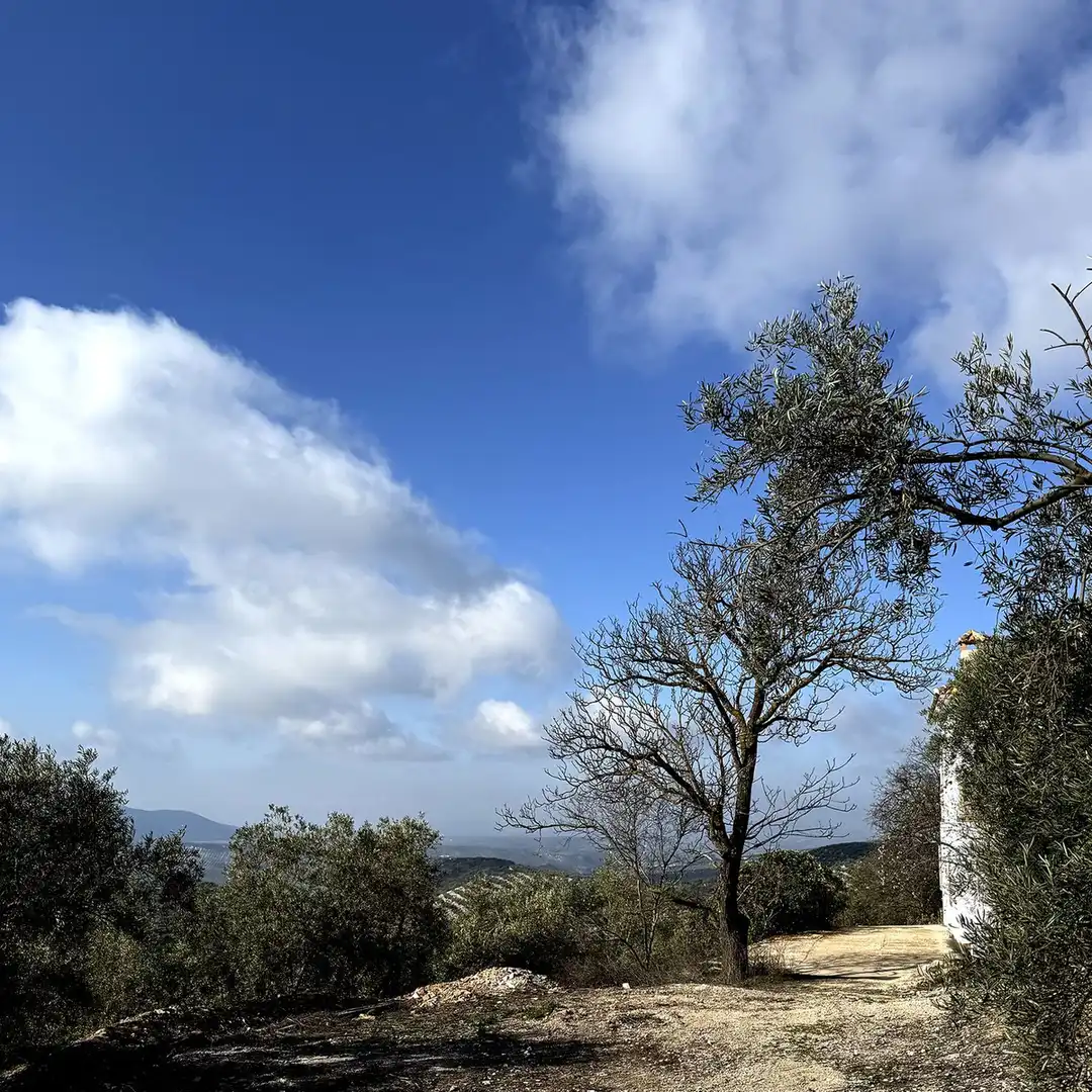Casa o chalet en venta en Villanueva de Algaidas con Jardín privado y Terraza