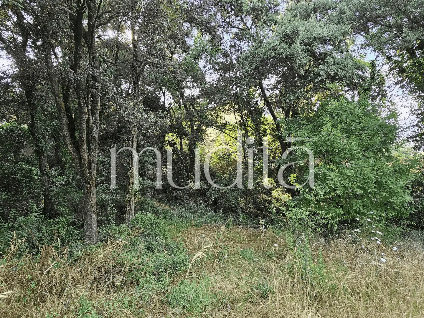 Residential land for sale in del Xaloc, imagen 11