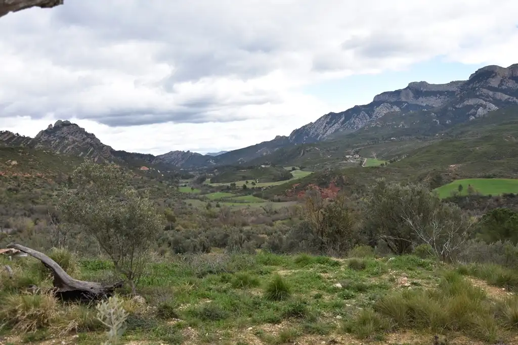 Rural land for sale in Mas de la Riba 1, imagen 7