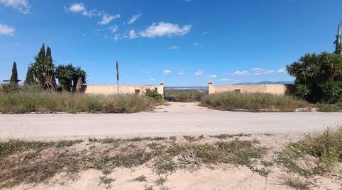 Finca Rustica Cmno. Juan Teresa  Raiguero Bajo Totana