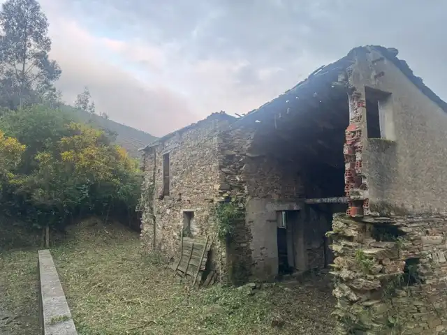 Vista exterior de Finca rústica en venta en Vegadeo