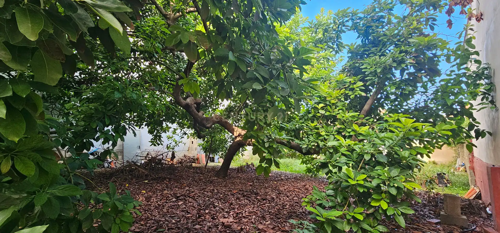 Garten von Residential zum Verkauf in Piles