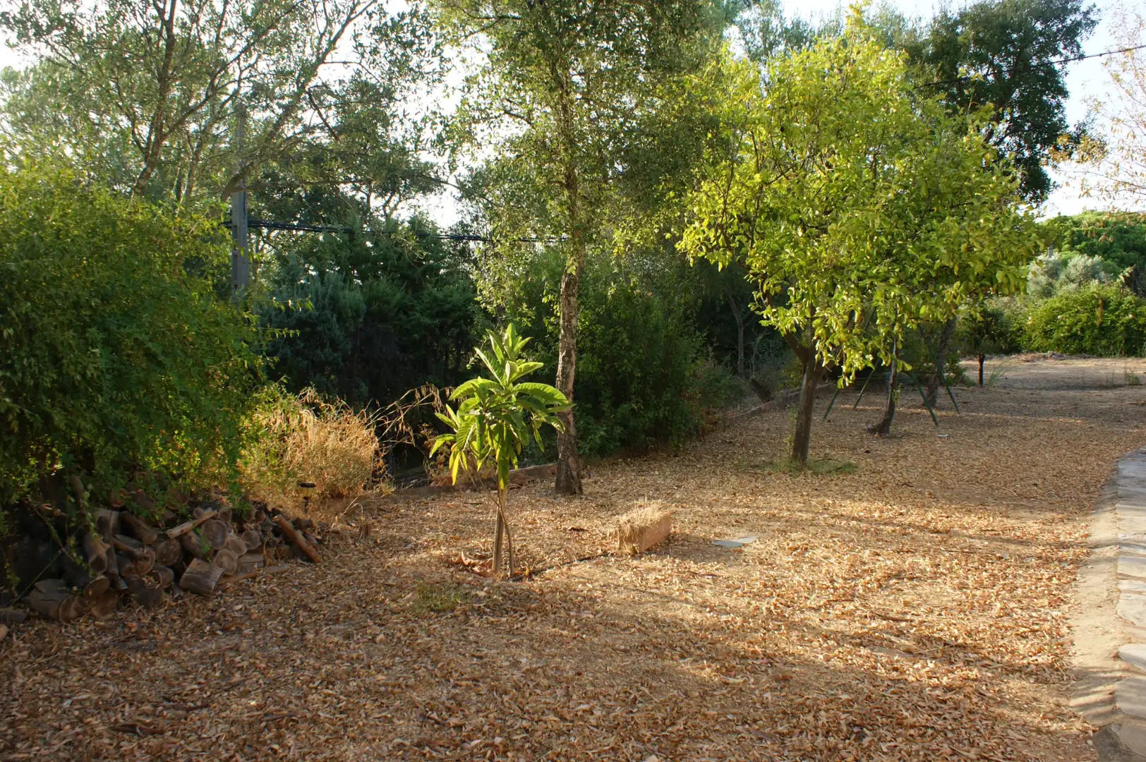 Chalet con jardín en venta en Diseminado Cuco Alto 1, imagen 25