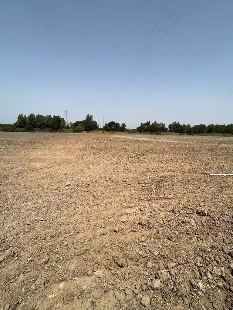 Terrenys i solars en venda a Carretera Cortes 4, imagen 7