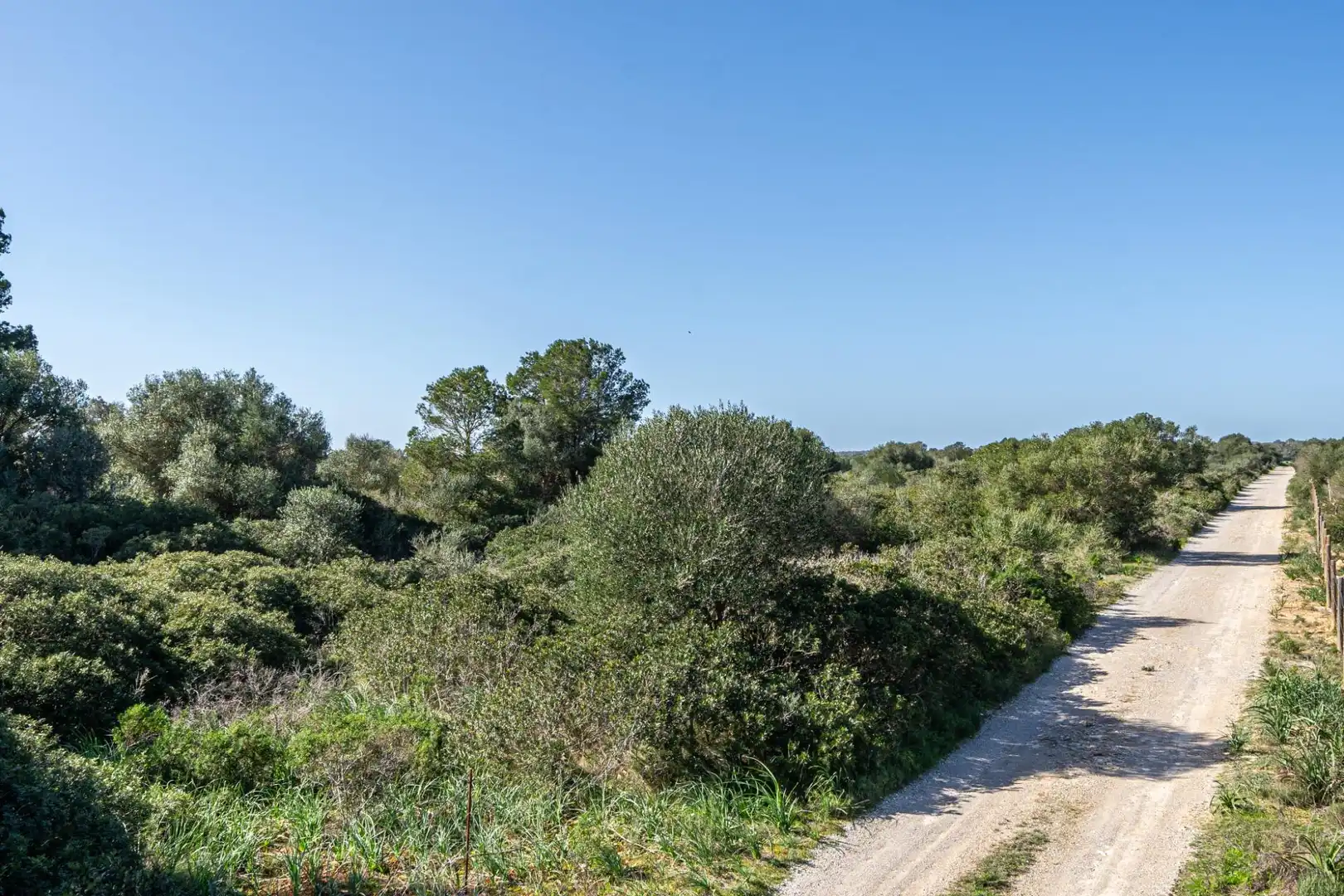 Terreny rústic en venda a Sa Ràpita - Ses Covetes, imagen 16
