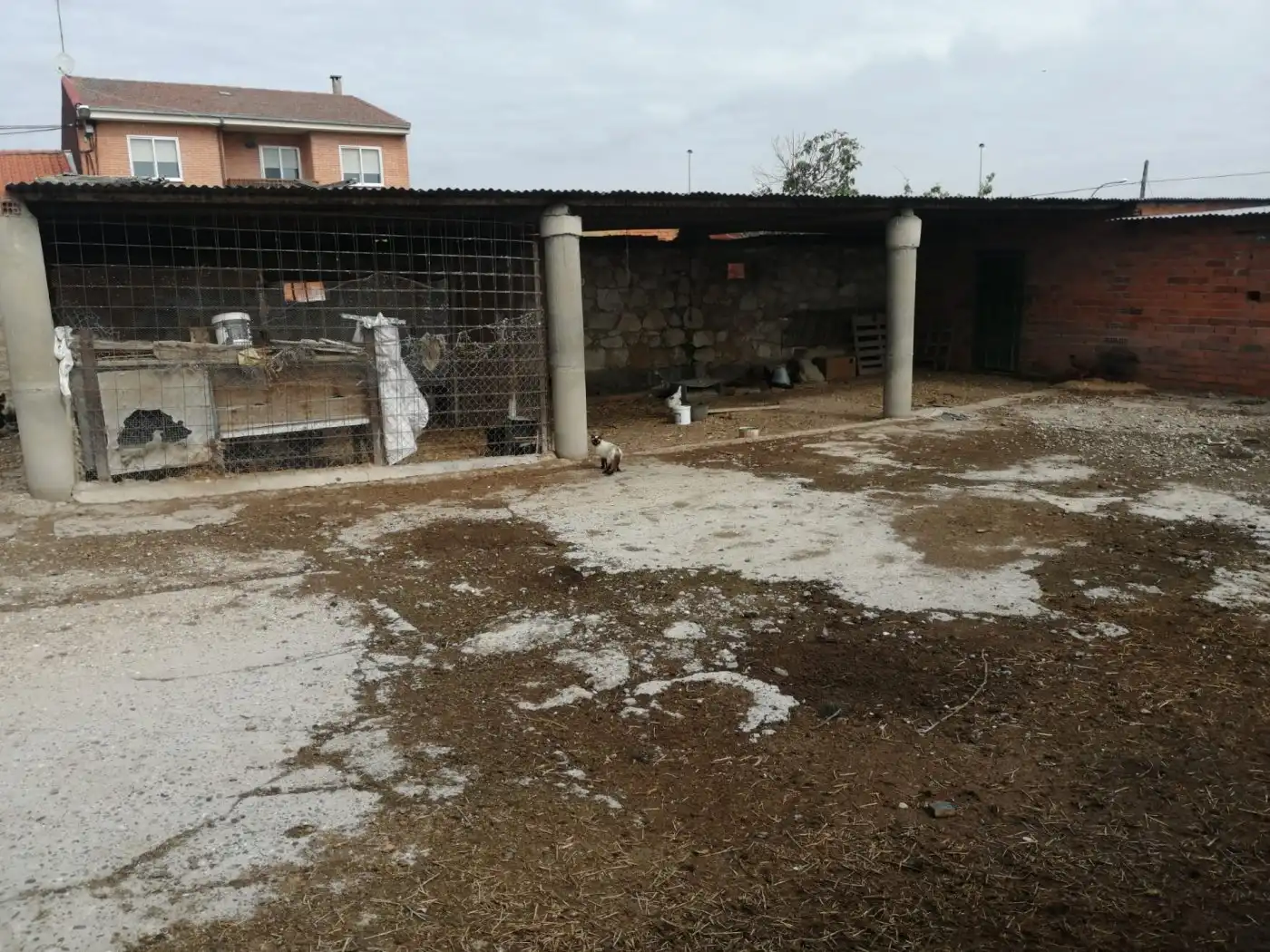 Terreni e lotti in vendita a San Isidro - Espíritu Santo, imagen 5