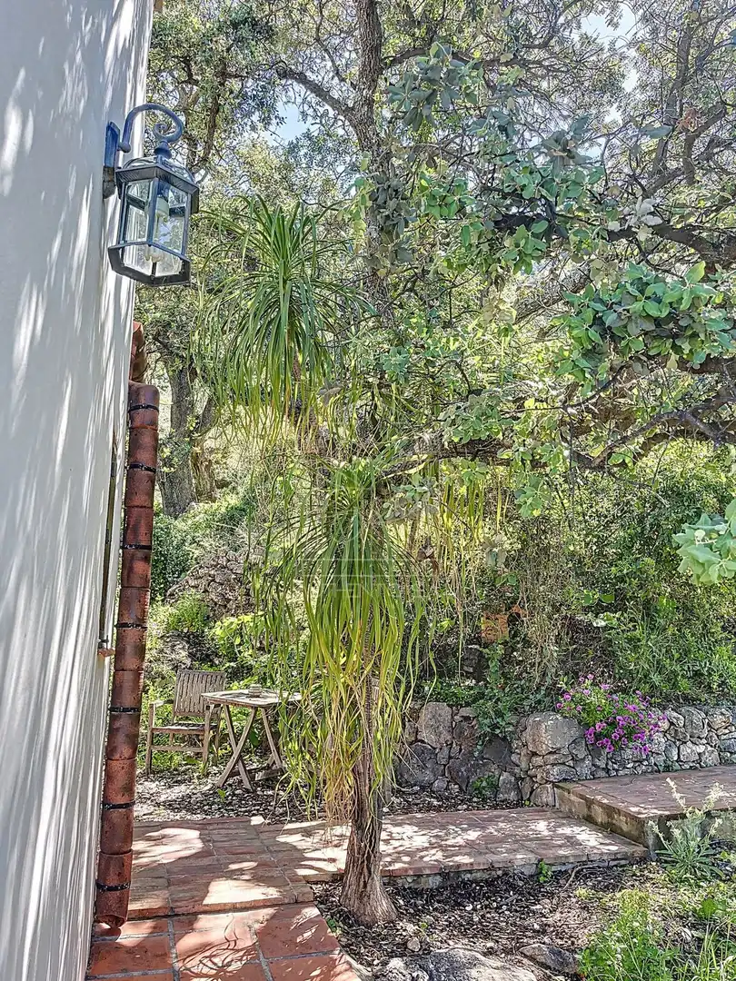 Jardín de Finca rústica en venta en Comares con Aire acondicionado, Jardín privado y Terraza