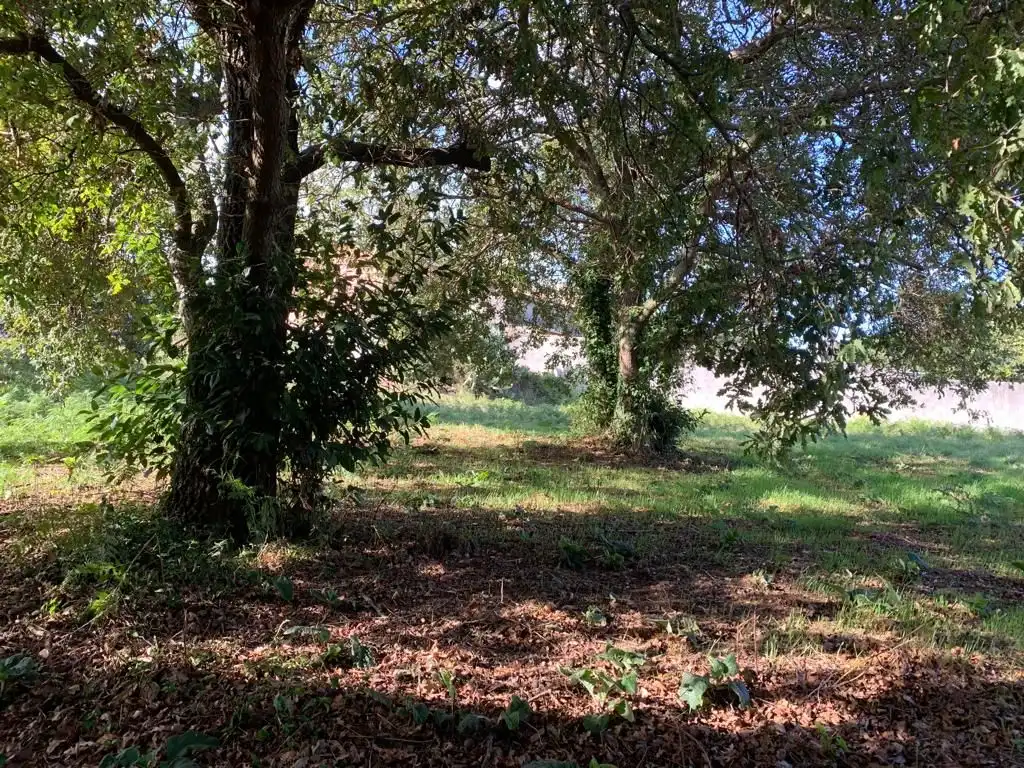 Wohnbaugrundstück zum Verkauf in Rúa Xiabre, imagen 2