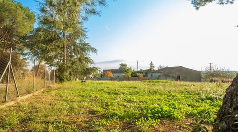 Foto 3 de Terreny en venda a Saus, Camallera i Llampaies, Girona