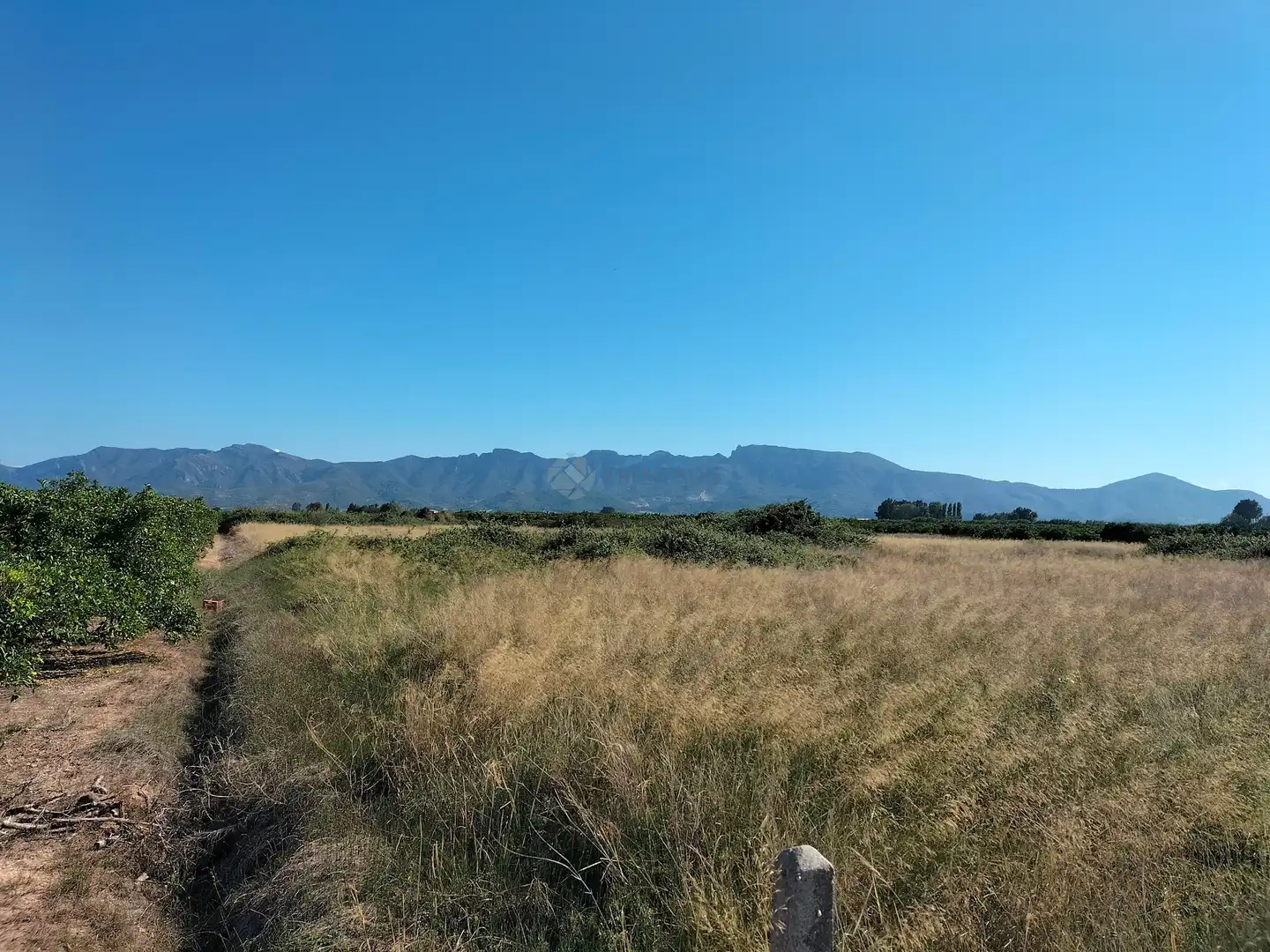 Lands and plots for sale in pol  parcela, imagen 9