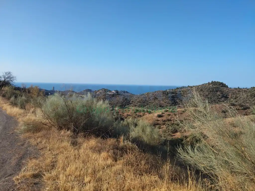 Terreno residencial en venta en Este, imagen 3
