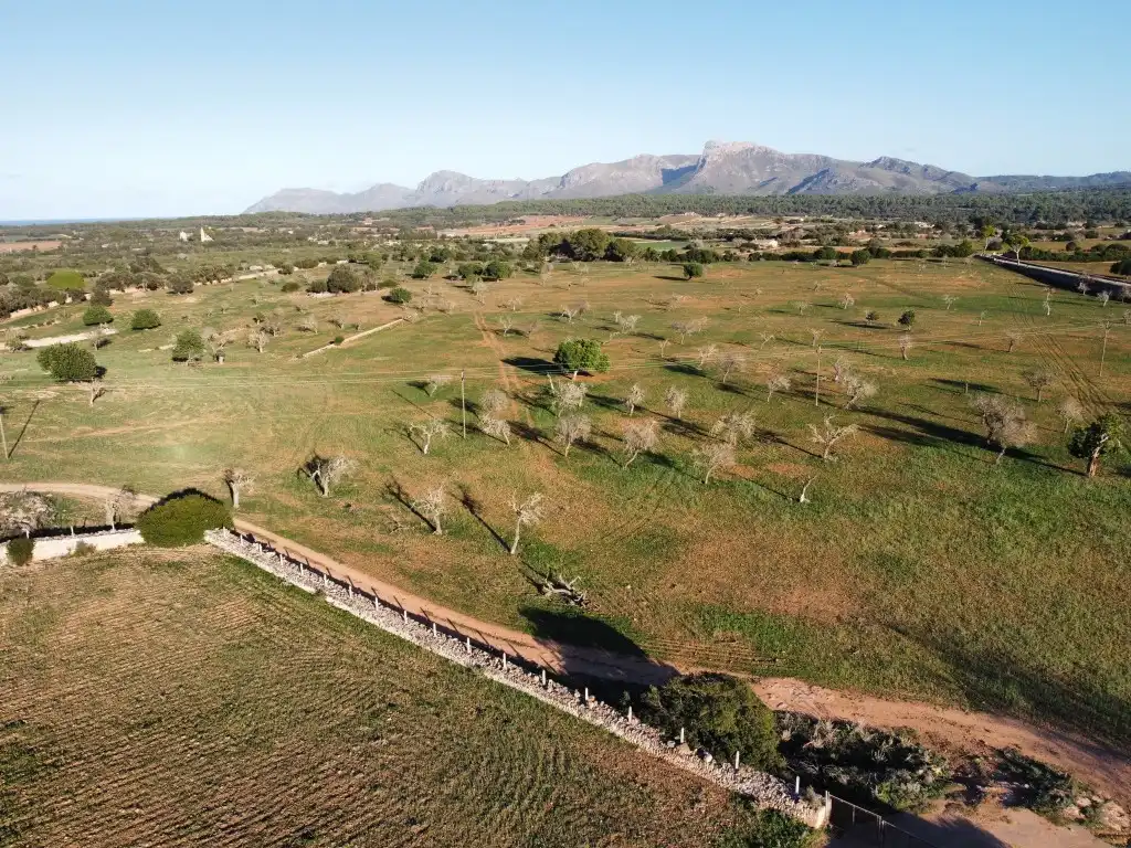 Finca rústica en venta en Santa Margalida