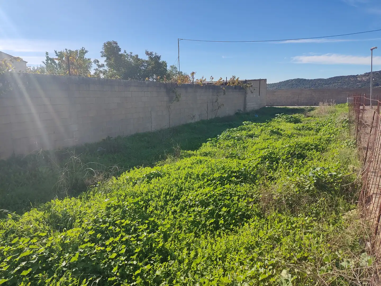 Terreni e lotti in vendita a Calle Valverde, imagen 6